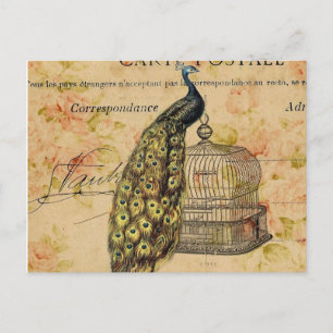 Cartão Postal arca botânica francesa nouveau vintage pavão