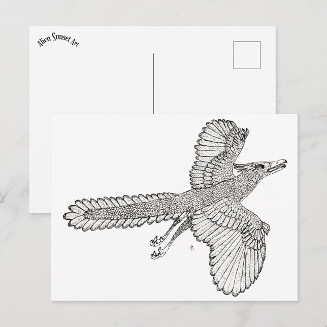 Cartão Postal Archaeopteryx (Frente/Verso)