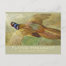 Cartão postal Archibald Thorburn Flying Pheasant C
