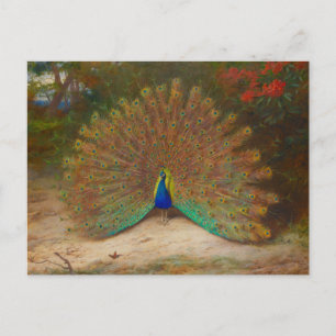Cartão Postal Archibald Thorburn Peacock Fine Art