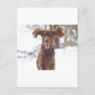 Cartão Postal Archie II