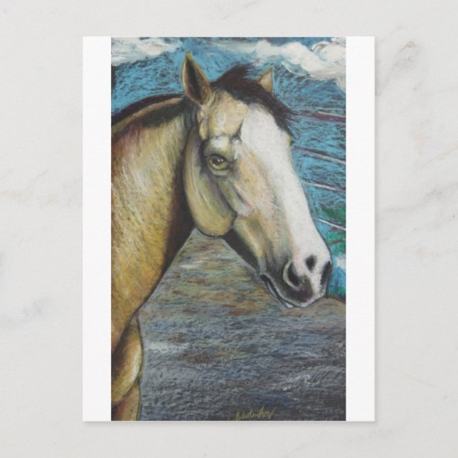 Cartão Postal Arco (Frente)