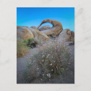 Cartão Postal Arco Colinas do Alabama