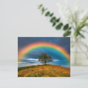 Cartão Postal Arco-íris Brilhante Sobre Prado de Flores Silvestr