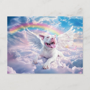 Cartão Postal Arco-íris, Cachorro Branco no Céu