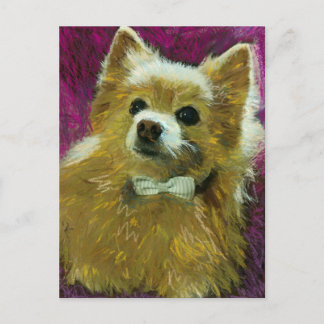 Cartão Postal Arco nº 2