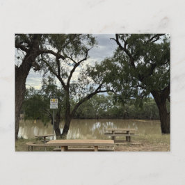 Cartão Postal Área de Picnic em Tannock Weir.