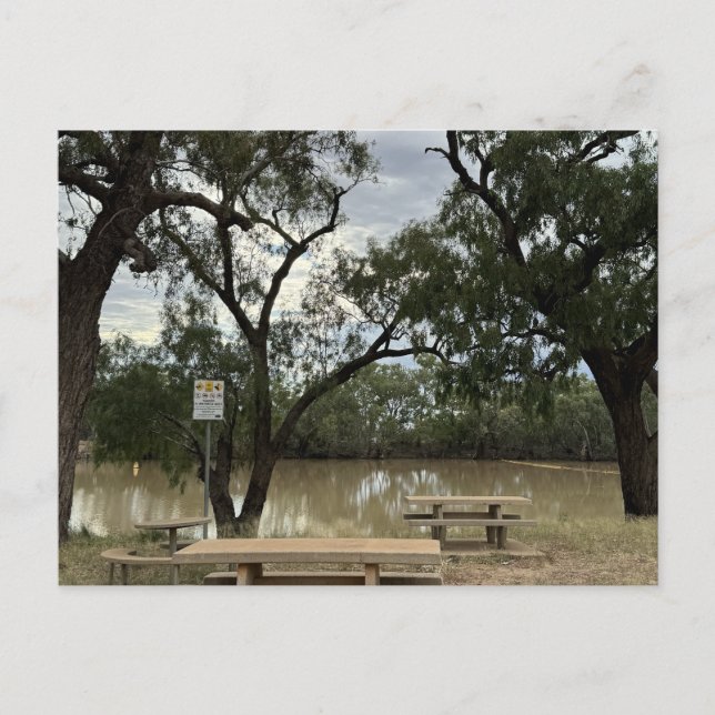 Cartão Postal Área de Picnic em Tannock Weir. (Frente)