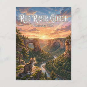 Cartão Postal Área Geológica Red River Gorge EUA