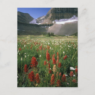 CARTÃO POSTAL ÁREA SILVESTRE DE MOUNT TIMPANOGOS, UT, EUA,