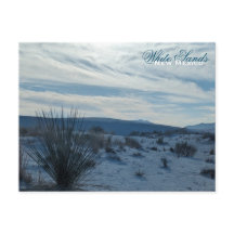 Areia Branca Novo Deserto do México Dunas de Areia