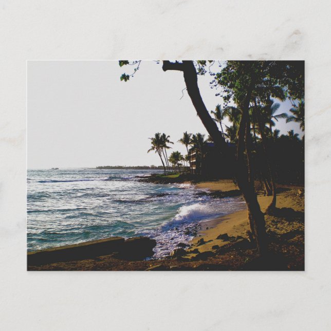 Cartão Postal Areia tropical do ouro (Frente)