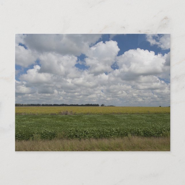 Cartão Postal Argentina, Buenos Aires, San Antonio de Areco. (Frente)