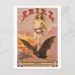 Cartão Postal Ariel em um Bat