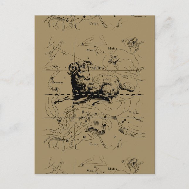 Cartão Postal Aries Constelle Map Hevelius 1690 (Frente)
