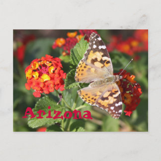 Cartão Postal Arizona