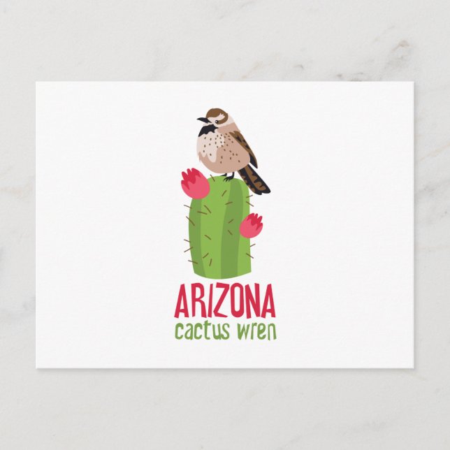 Cartão Postal Arizona Cactus Wren (Frente)