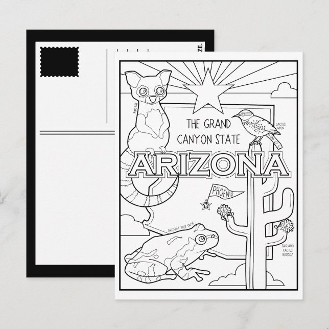 Cartão Postal arizona colagem colorida (Frente/Verso)