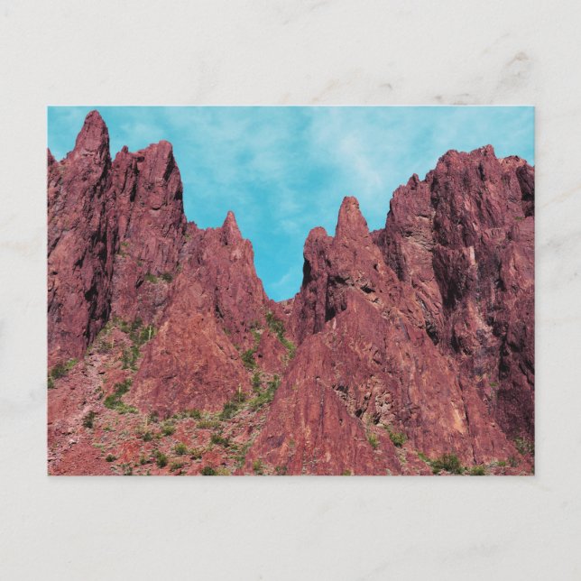 Cartão Postal Arizona de Palm Canyon (Frente)