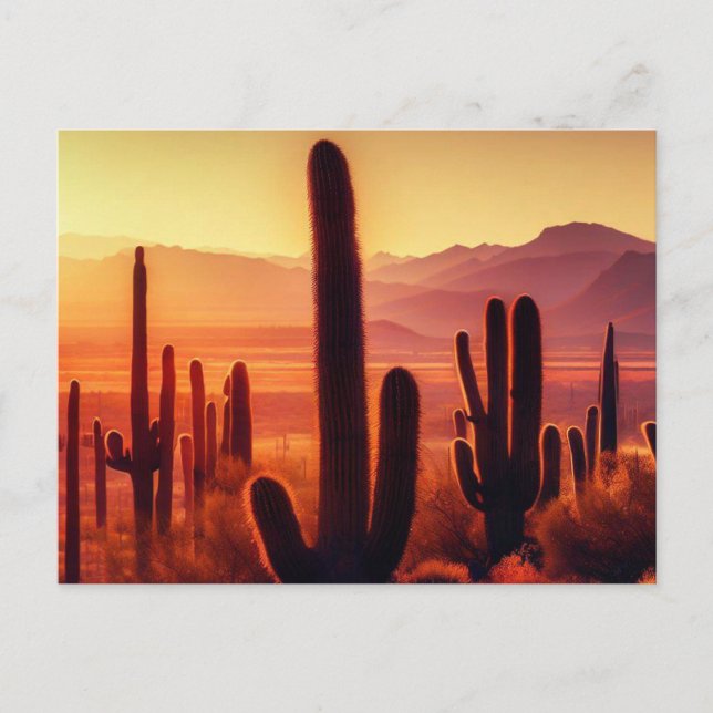 Cartão Postal Arizona Desert cactus sunset (Frente)