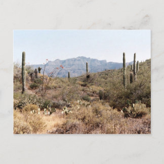 Cartão Postal Arizona do Deserto Sonoran