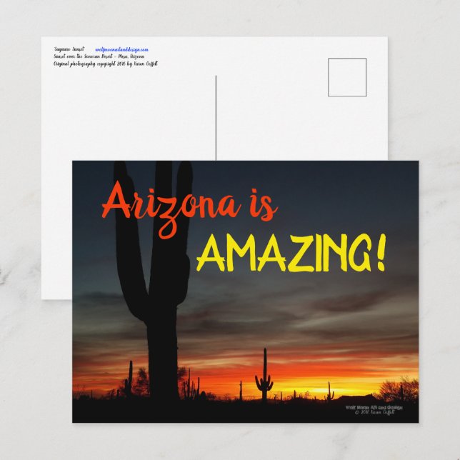 Cartão Postal "Arizona é incrível!" Sonoran Desert Cactus Sunset (Frente/Verso)