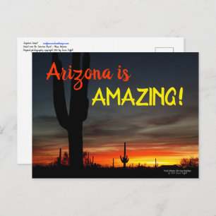 Cartão Postal "Arizona é incrível!" Sonoran Desert Cactus Sunset