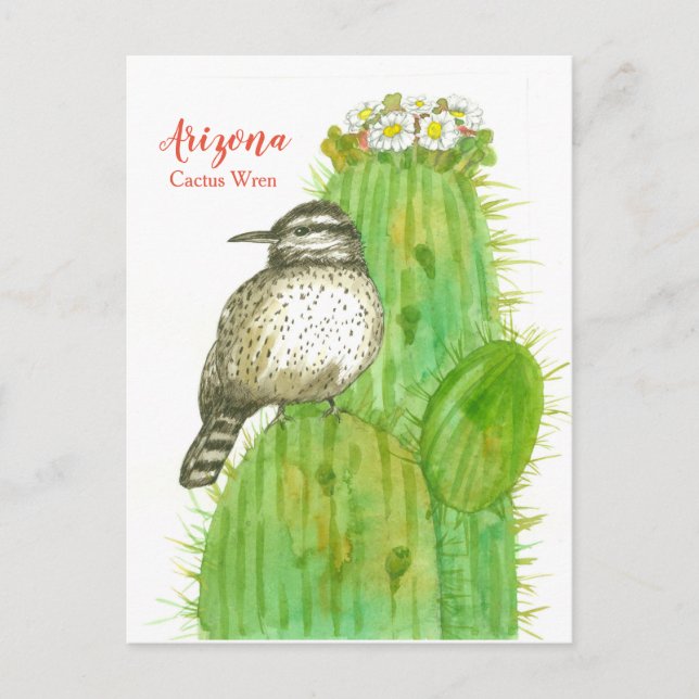 Cartão Postal Arizona Estado das aves Cactus Wren White Blossoma (Frente)
