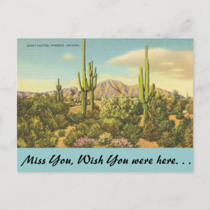 Cartão Postal Arizona, gigante Cactus