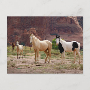 Cartão Postal Arizona, Reserva Indiana Navajo, Chinle,