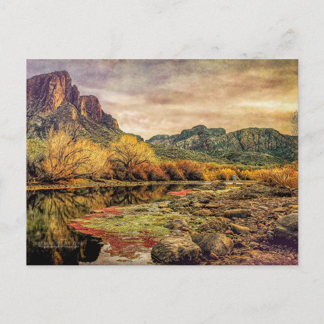 Cartão Postal Arizona River Sonoran Desert Mounts Digital Art (Frente)