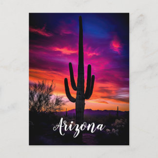 Cartão Postal Arizona Saguaro Cactus Southwestern Desert Sunset