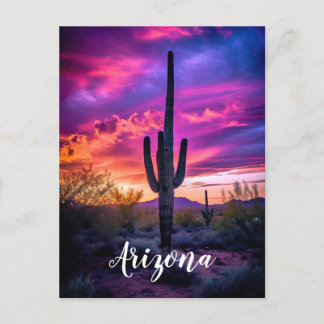 Cartão Postal Arizona Saguaro Cactus Southwestern Desert Sunset