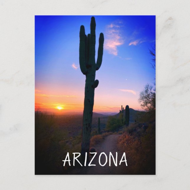 Cartão Postal Arizona Saguaro Cactus Sunset Souvenir Viagem (Frente)