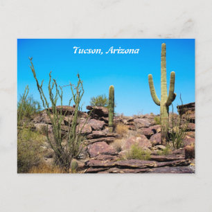 Cartão Postal Arizona Tucson, Sudoeste do Deserto, Cartão-postal