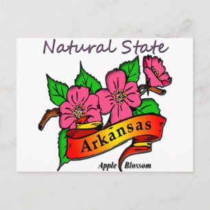 Cartão Postal Arkansas Natural State Apple Blossom