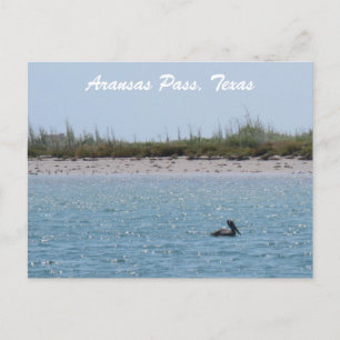 Cartão Postal ArKansas Passa a Costa do Texas Postcad com Pelica