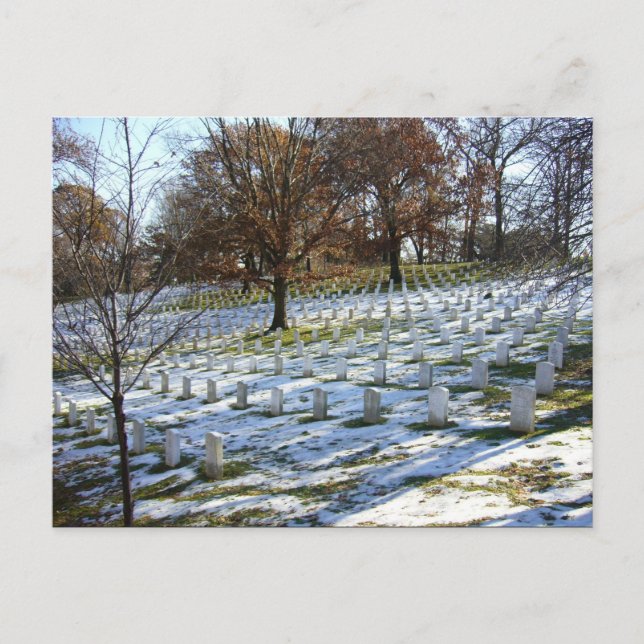 Cartão Postal Arlington (Frente)