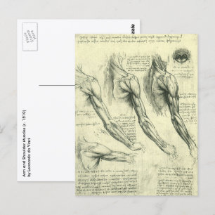 Cartão Postal Arm e Anatomia do Ombro por Leonardo da Vinci
