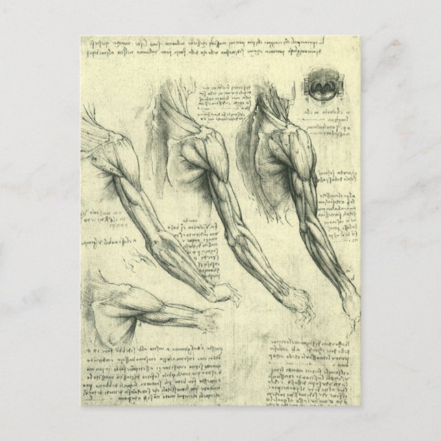 Cartão Postal Arm e Anatomia do Ombro por Leonardo da Vinci (Frente)