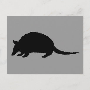 Cartão Postal Armadillo