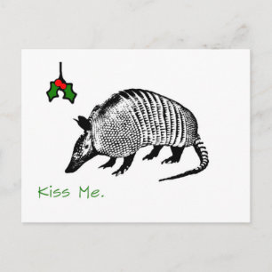 Cartão Postal Armadillo me beija