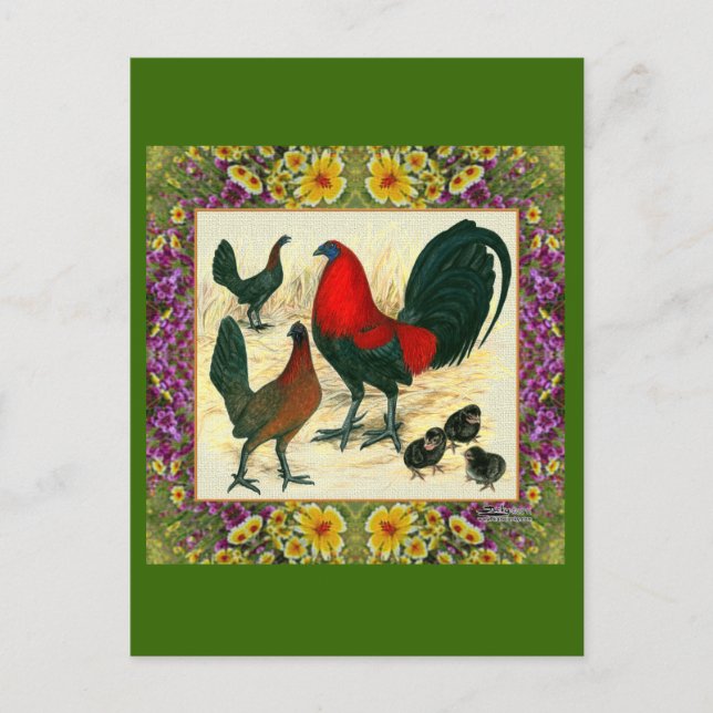 Cartão Postal Armadura florida de aves de jogo (Frente)