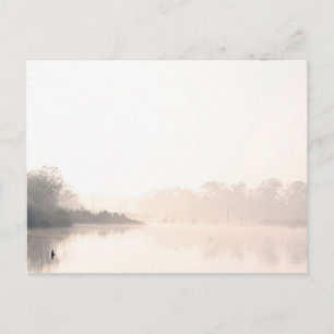 Cartão Postal Armand Bayou nevoeiro
