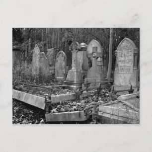 Cartão Postal ArnosVale4