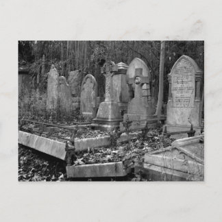 Cartão Postal ArnosVale4