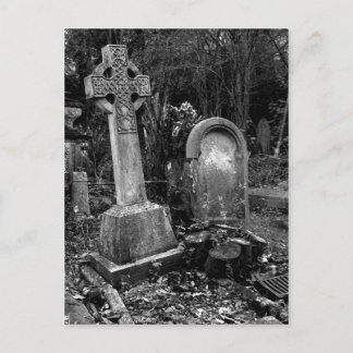 Cartão Postal ArnosVale7