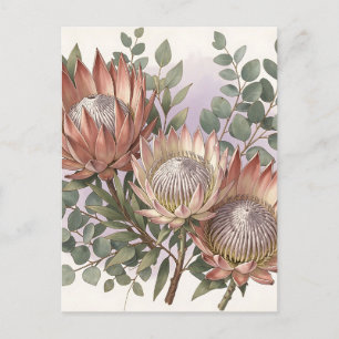 Cartão Postal Arranjo Botânico de Eucalipto Protea Rosa