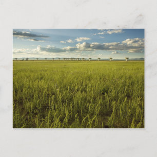 Cartão Postal Array muito grande