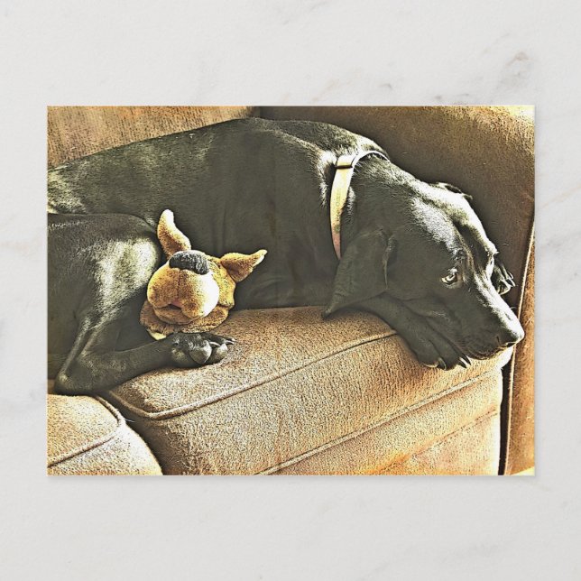 Cartão Postal Arrependimentos (Frente)